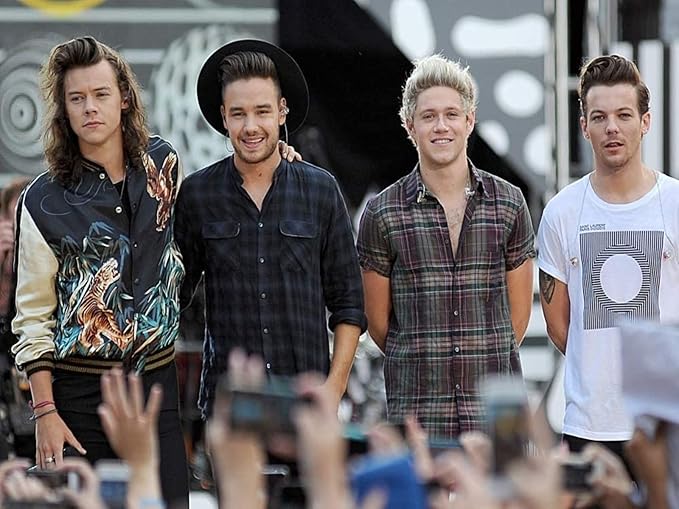 harry styles liam payne niall horan louis tomlinson one